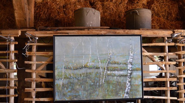 Ganzenmarkt (zondag  2 juli 2017)